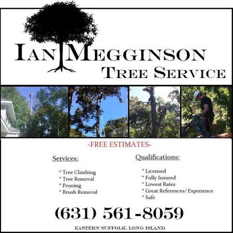 Jobs in Ian Megginson Tree Service - reviews